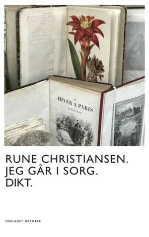 Omslag: "Jeg går i sorg : dikt" av Rune Christiansen