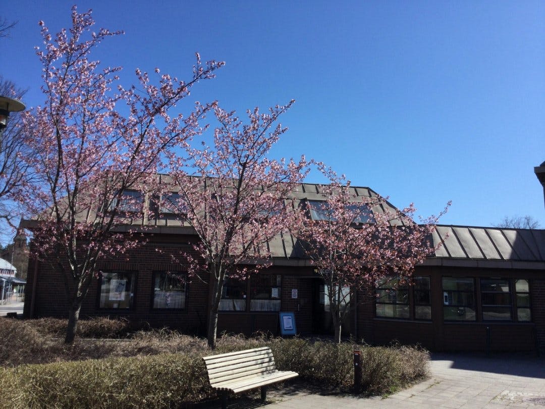 Stokke bibliotek med blomstrende trær foran.