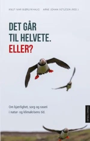 Omslag: "Det går til helvete. Eller? : kjærlighet, sorg og raseri i natur- og klimakrisens tid" av Knut Ivar Bjørlykhaug