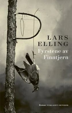 Omslag: "Fyrstene av Finntjern : roman" av Lars Elling